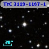 TYC 3119-1187-1