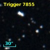 Trigger  7855