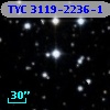 TYC 3119-2236-1