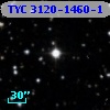 TYC 3120-1460-1