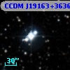 CCDM J19163+3636B