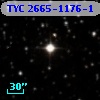 TYC 2665-1176-1
