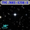TYC 2665-1256-1