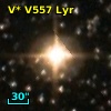 V* V557 Lyr