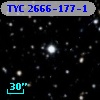 TYC 2666-177-1