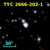 TYC 2666-202-1