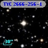 TYC 2666-256-1