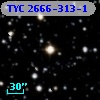 TYC 2666-313-1