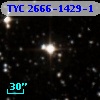 TYC 2666-1429-1