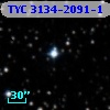 TYC 3134-2091-1