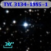 TYC 3134-1985-1