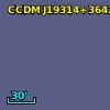 BD+36  3589B