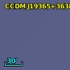 BD+36  3629B