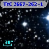 TYC 2667-262-1