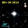 BD+36  3614