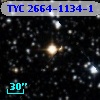 TYC 2664-1134-1