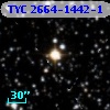 TYC 2664-1442-1