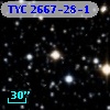 TYC 2667-28-1