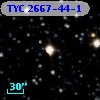 TYC 2667-44-1