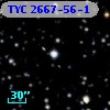 TYC 2667-56-1