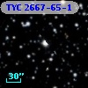 TYC 2667-65-1