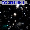 TYC 2667-89-1