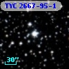 TYC 2667-95-1