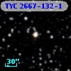 TYC 2667-132-1