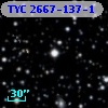 TYC 2667-137-1