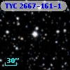 TYC 2667-161-1