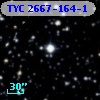 TYC 2667-164-1