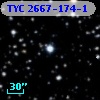 TYC 2667-174-1