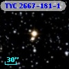 TYC 2667-181-1