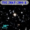 TYC 2667-204-1