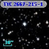 TYC 2667-215-1