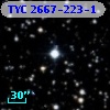 TYC 2667-223-1