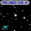 TYC 2667-228-1