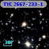 TYC 2667-233-1
