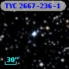 TYC 2667-236-1