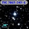 TYC 2667-243-1