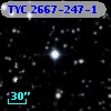 TYC 2667-247-1