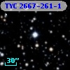 TYC 2667-261-1