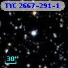 TYC 2667-291-1