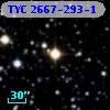 TYC 2667-293-1