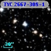 TYC 2667-308-1