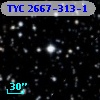 TYC 2667-313-1