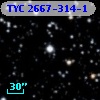 TYC 2667-314-1