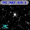 TYC 2667-329-1