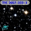 TYC 2667-333-1