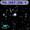 TYC 2667-336-1